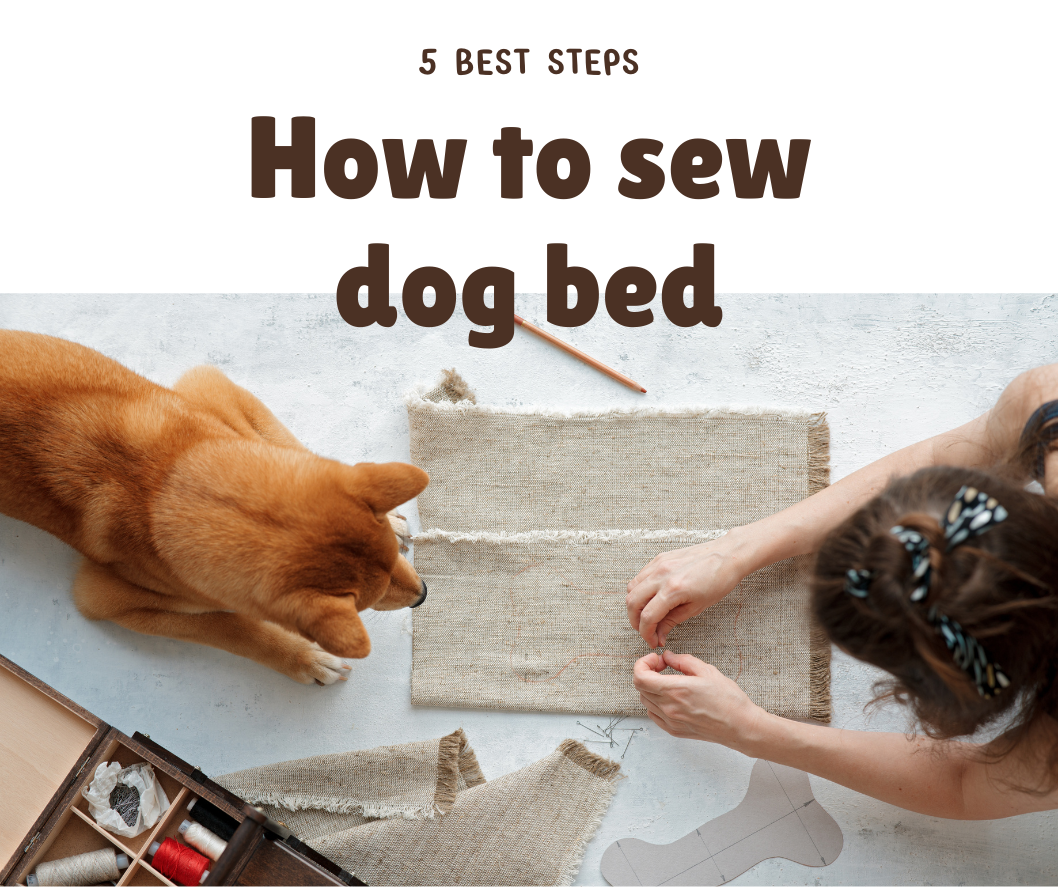 How to Sew a Dog Bed in 5 Easy Steps: A Comprehensive Guide - Happydogbed